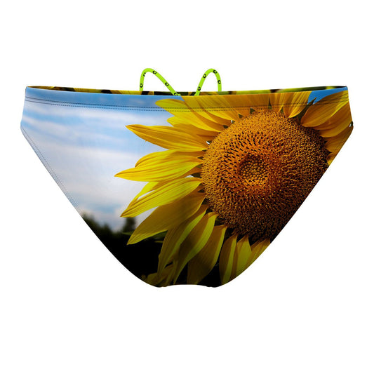 Sunflower Waterpolo Brief