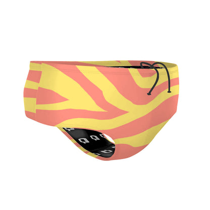 SunZebra - Classic Brief Swimsuit
