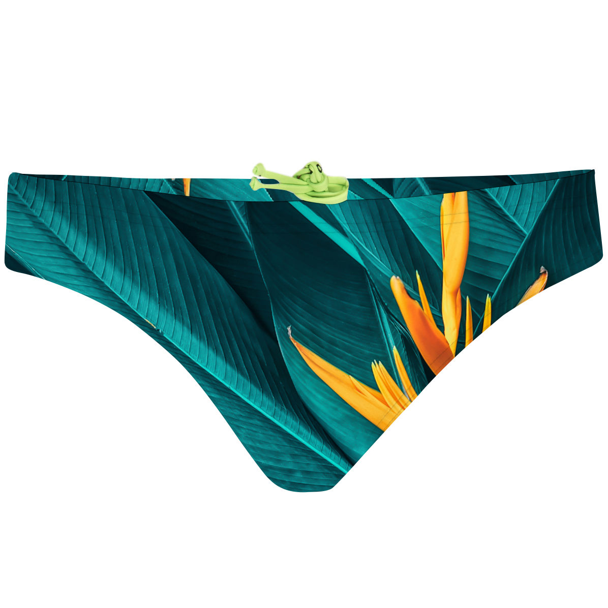 Tropical Nature - Bandeau Bikini Bottom