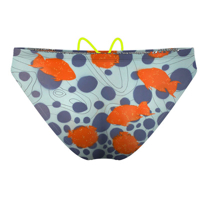 Garibaldi Puffer - Waterpolo Brief Swimsuit